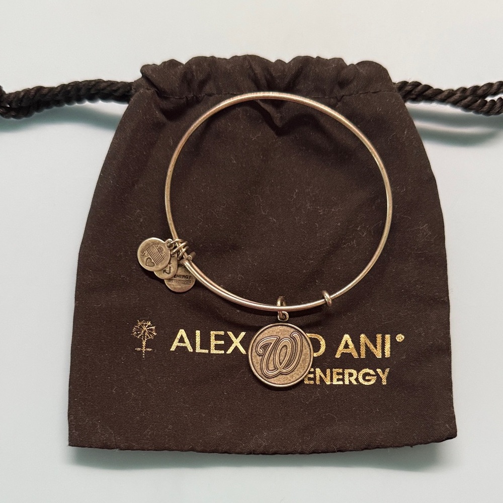Alex and Ani Silver Washington Nationals Logo Charm Bracelet